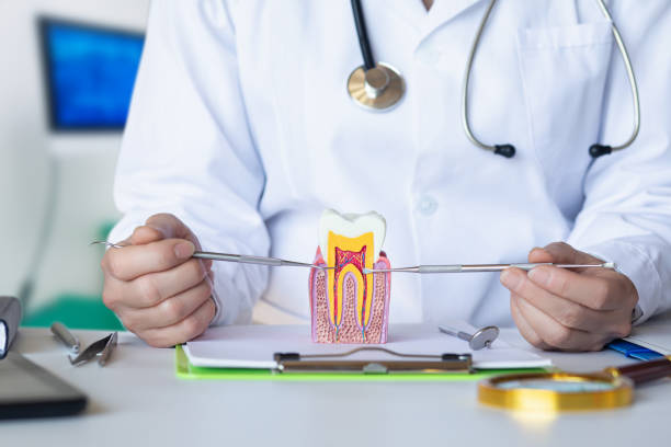 Best Pediatric Emergency Dentist in Montegut, LA